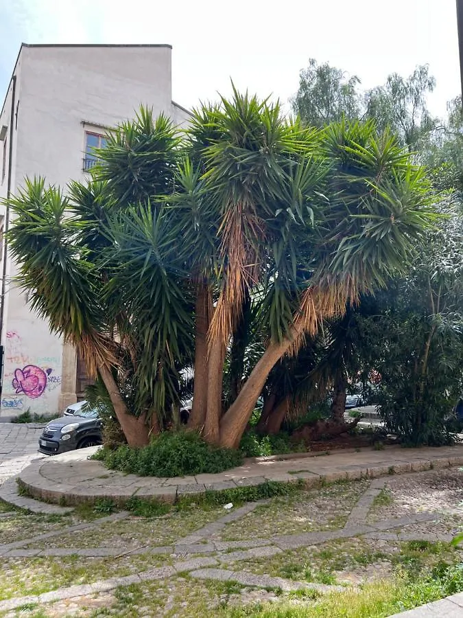 Appartamento Pasetti House Palermo